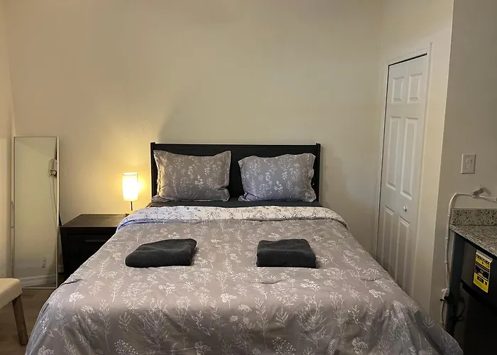 Zenhomes In Brandon Near Tampa Valrico Seffner